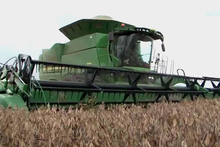 Seis milhões de toneladas de soja são colhidas no oeste da Bahia