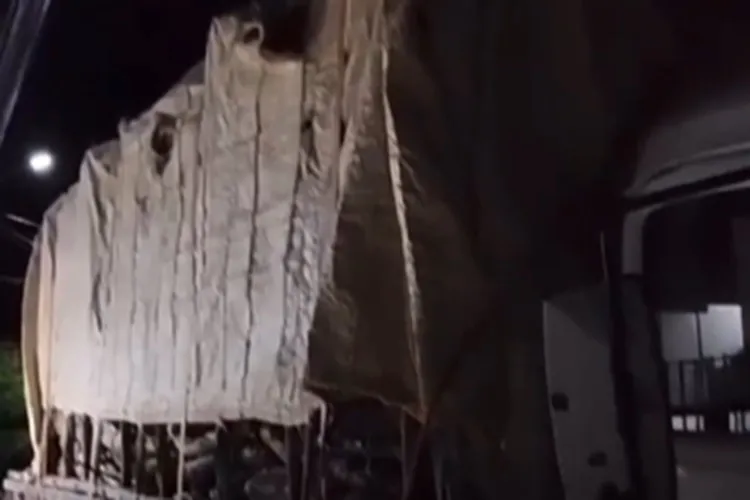 Cippa apreende carga de madeira nativa na BR-242 em Oliveira dos Brejinhos