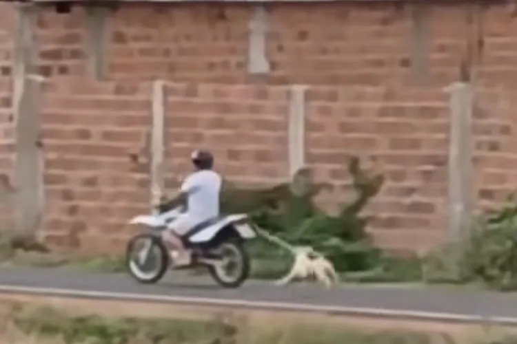 VÍDEO: Homem que arrastou cadela com uma motocicleta é indiciado em Brumado