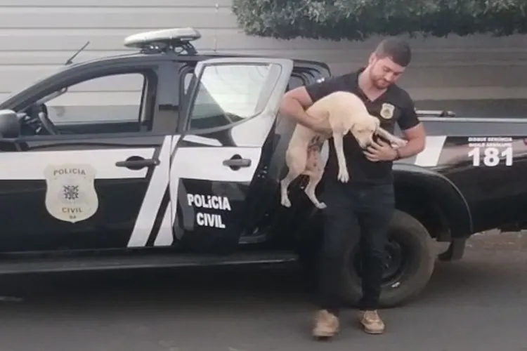 VÍDEO: Homem que arrastou cadela com uma motocicleta é indiciado em Brumado