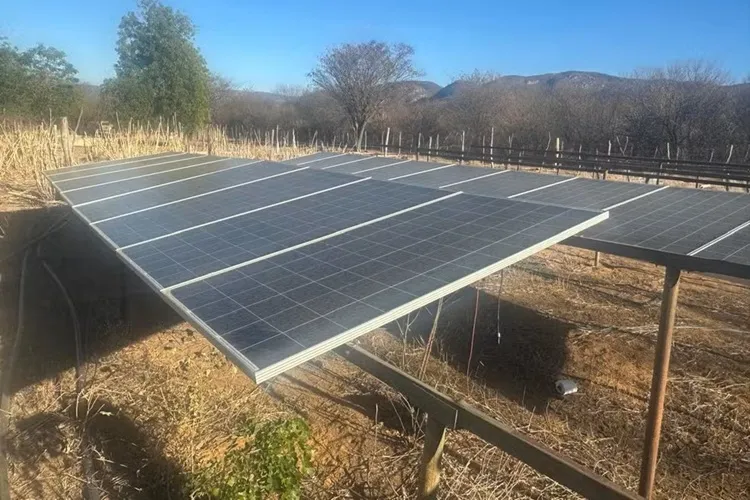 Plantação de maconha com sistema de energia solar é destruída em Brotas de Macaúbas