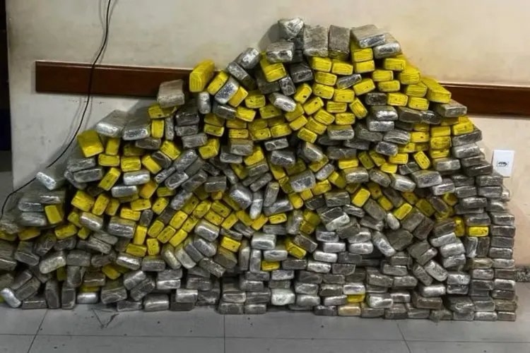 Eunápolis: Cerca de 300 kg de maconha são encontrados em área de matagal