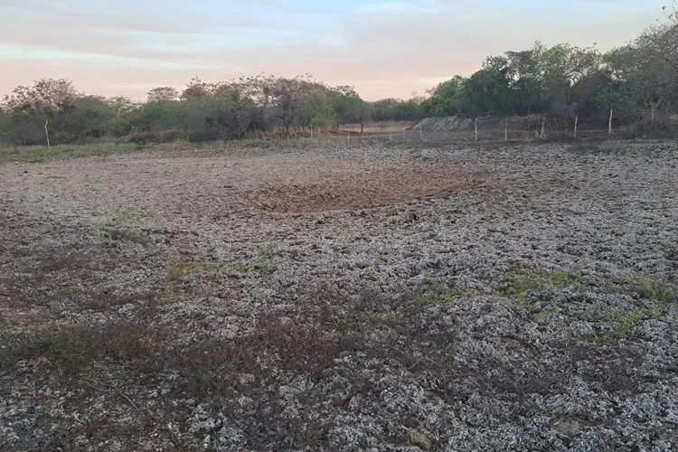 Malhada de Pedras em calamidade hídrica pede socorro ao Governo do Estado