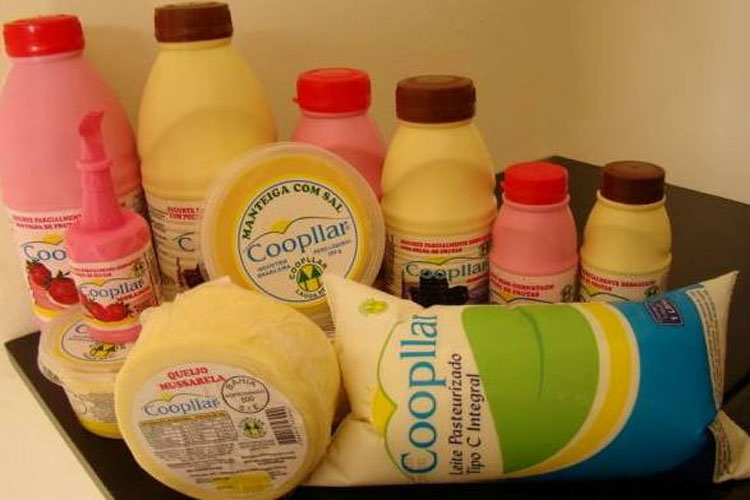 Sistema produtivo do leite gera renda para famílias agricultoras em Lagoa Real