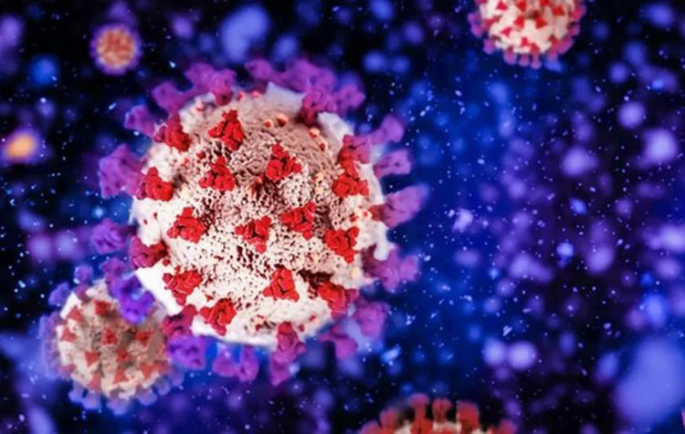 Covid-19: Variante BA.2 da ômicron pode gerar nova onda, diz OMS