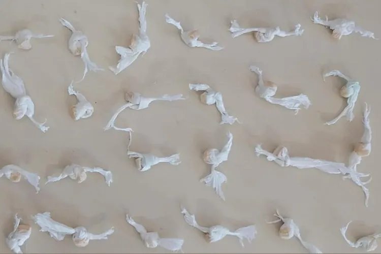 17º BPM flagra menor com 31 pedras de crack durante rondas em Candiba