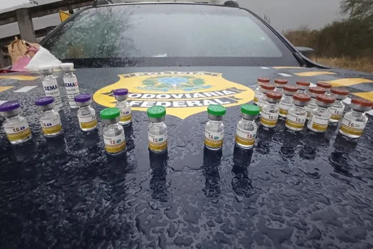 Jequié: PRF apreende medicamentos para emagrecimento com indícios de irregularidade