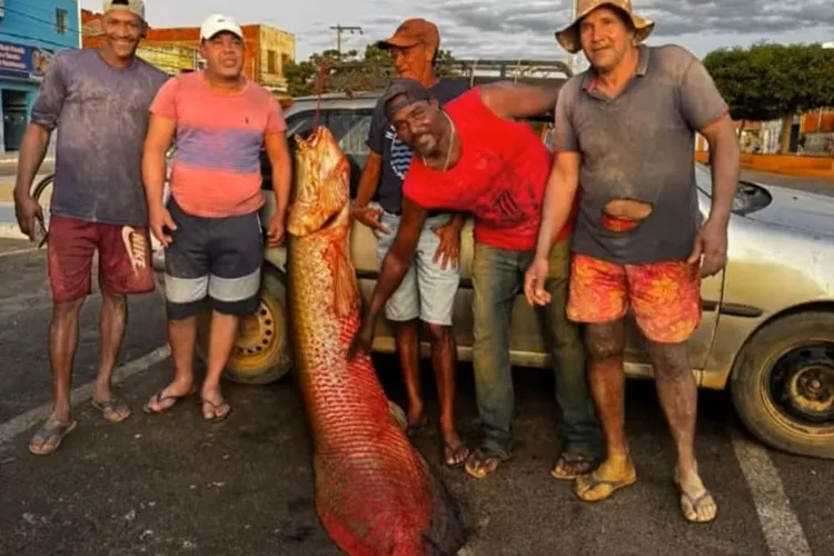 Pescadores capturam pirarucu gigante de 92 kg e mais de dois metros em Malhada