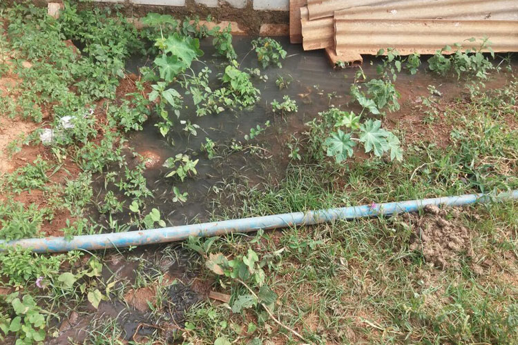 Tanhaçu: Moradores do distrito de Sussuarana sofrem transtornos com desvio de esgoto