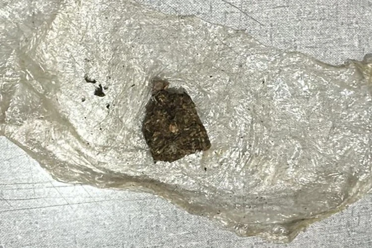 CIPRv apreende entorpecentes durante abordagem em Tanhaçu