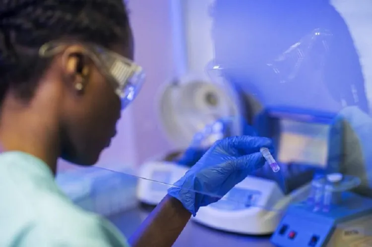 Candida auris: Superfungo é detectado em mais um hospital em Pernambuco