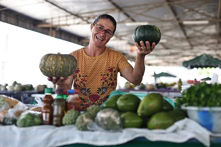 Mercado Municipal de Cordeiros dinamiza economia e garante renda no sudoeste baiano