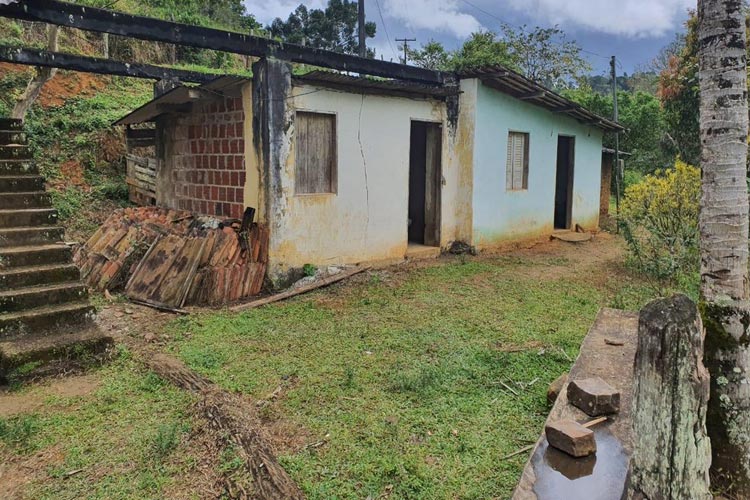 Ibirataia: Seis homens são presos em propriedade rural com 3.500 pés de maconha