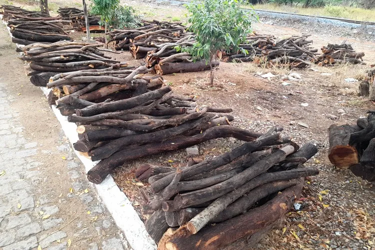 Procura pelas fogueiras começa mais cedo e aumenta expectativa de vendas em Brumado