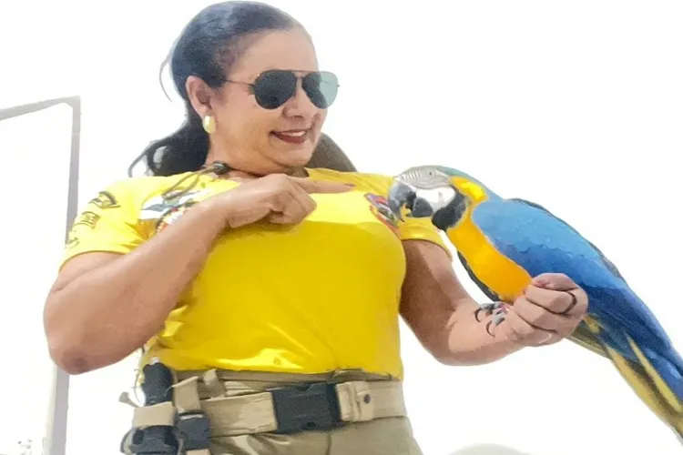 Arara-canindé é resgatada em distrito rural de Livramento de Nossa Senhora