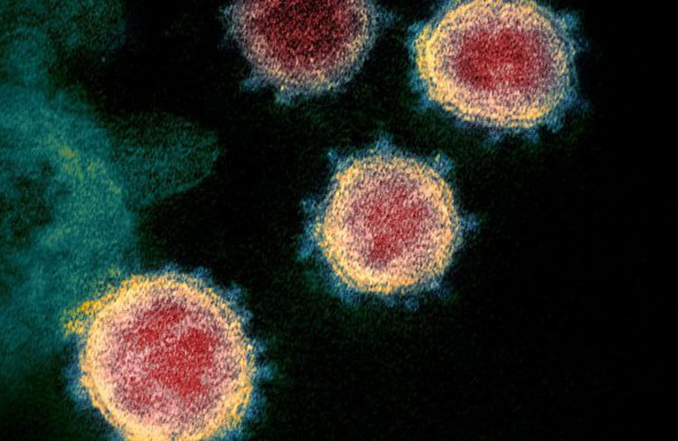 Covid-19: OMS vê risco elevado na variante ômicron