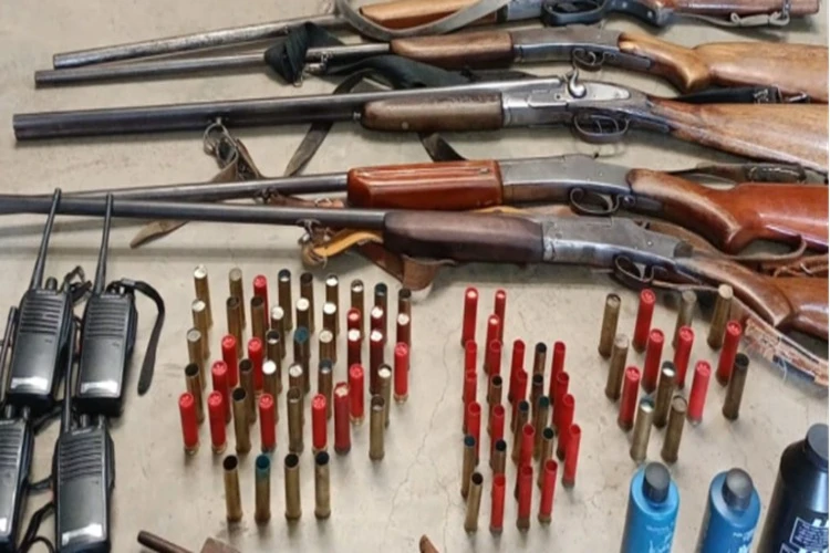 Espingardas e cartuchos são apreendidos em operação contra caça ilegal em Érico Cardoso