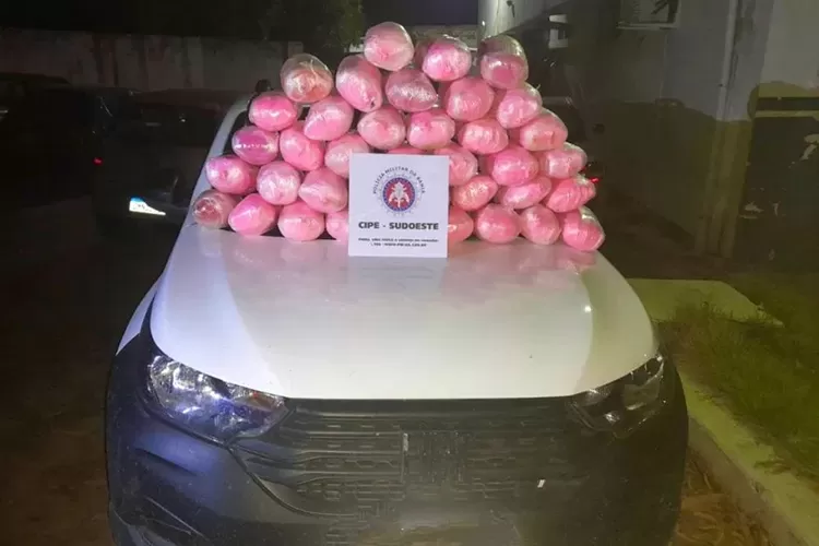 Operação Aerarium: Cipe Sudoeste apreende mais de 22 kg de maconha em Paramirim