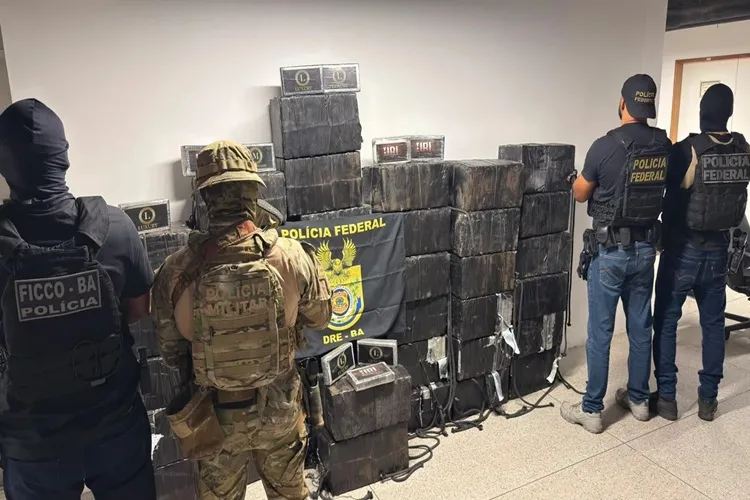 Nove suspeitos são presos e 1 tonelada de cocaína é apreendida no Porto de Salvador