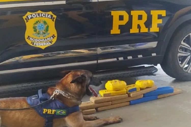 PRF apreende 10 kg de maconha com adolescente de 14 anos em Vitória da Conquista
