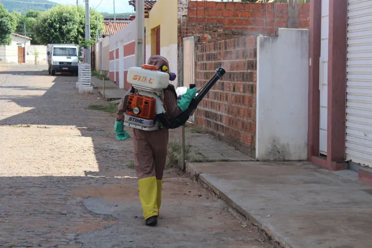 Bahia registra alta de 702,9% em casos de dengue este ano