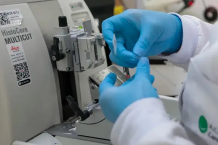 Nova lei amplia acesso a terapias e vacinas contra o câncer no SUS