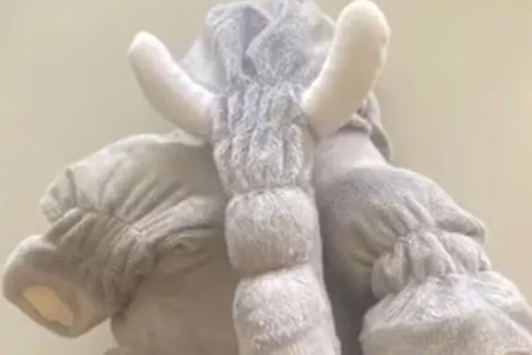 Jaguaquara: Mulher é detida com R$ 20 mil em um elefante de pelúcia