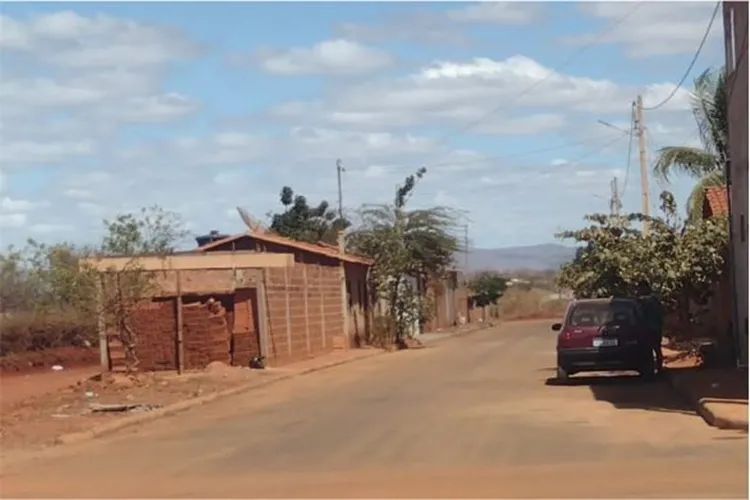 Pitbulls atacam cães e um deles acaba morrendo em Livramento de Nossa Senhora