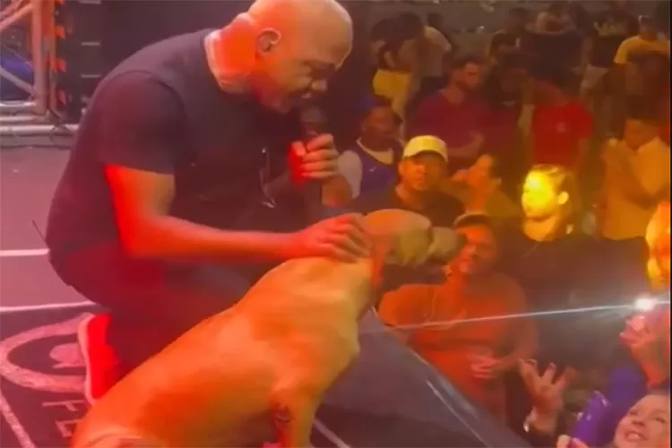 Vira-lata rouba a cena durante show do cantor Sinho Ferrary no aniversário de Brumado