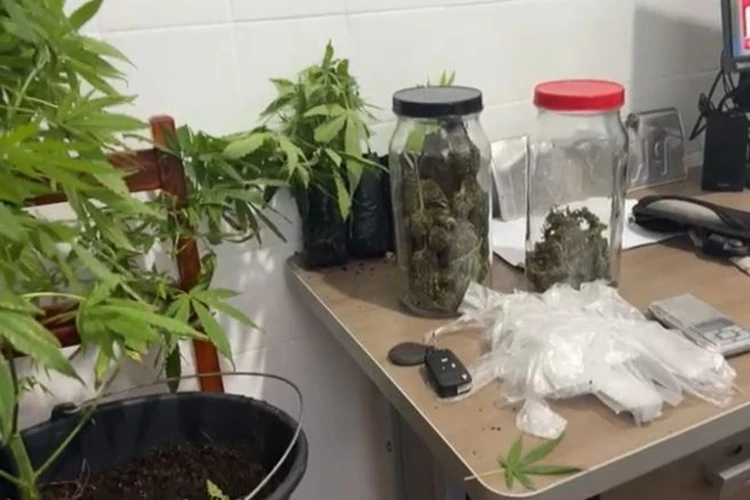 Polícia Militar apreende drogas prontas para comercialização em Barra da Estiva