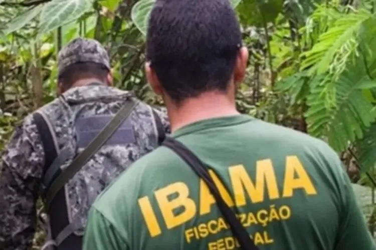 Servidores do meio ambiente preveem greve geral no dia 24 de junho