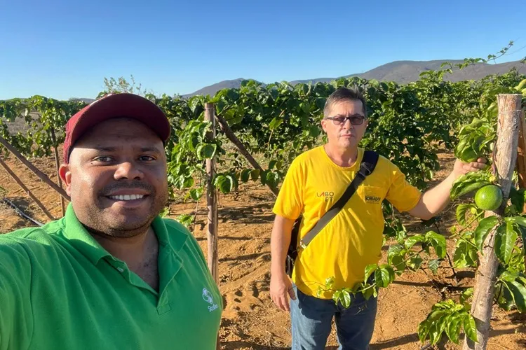 Brumado: Equipe do Armazém do Criador em capacitação em nutrição e fisiologia vegetal