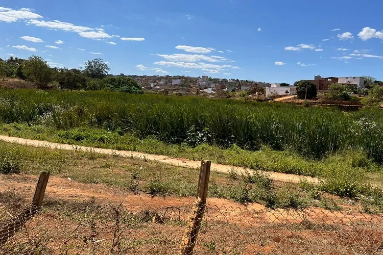 Justiça manda prefeitura de Caetité revitalizar Riacho Flor da índia