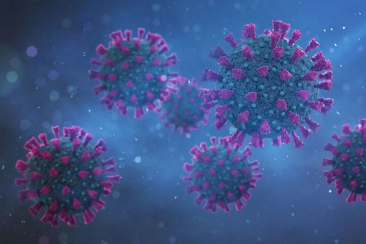 'Mundo está entrando na 4ª onda da Covid-19', afirma diretora da OMS