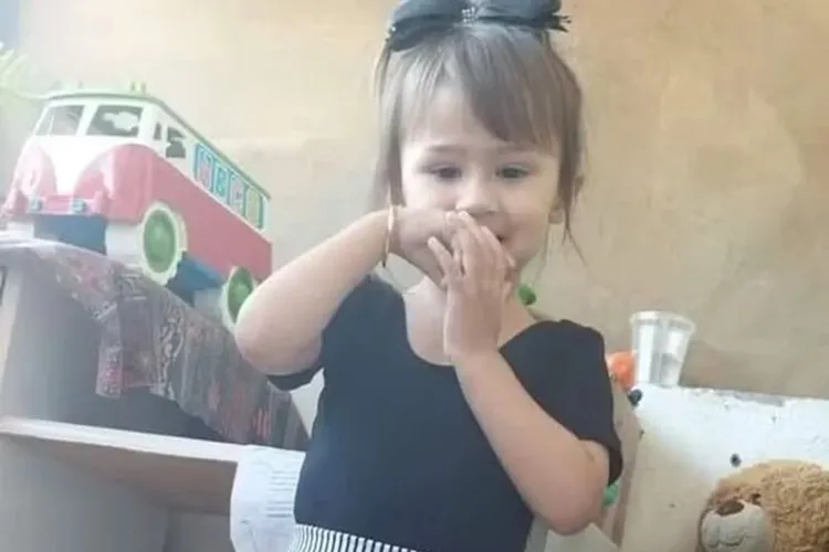 Menina de três anos é agredida até a morte e tem corpo jogado em matagal em Santa Catarina