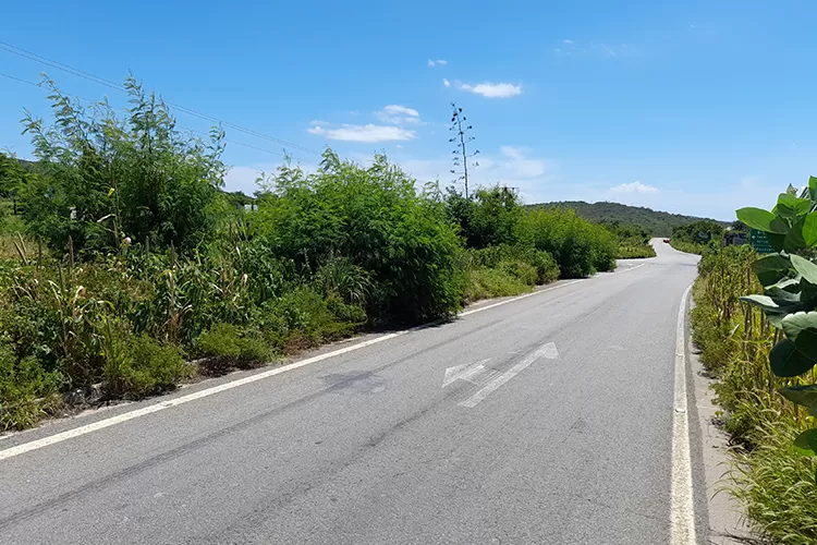Brumado: Condutores alertam riscos de acidentes no anel viário da BR-030 devido a matagal