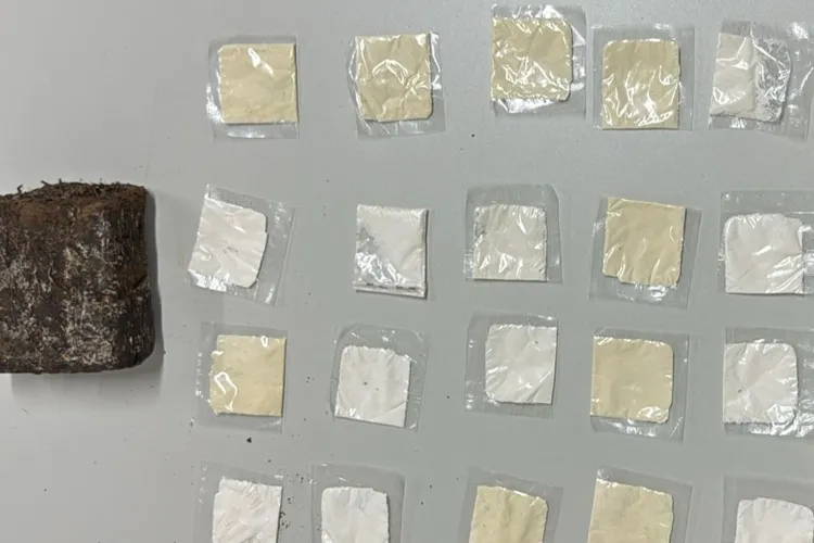 Ibipitanga: Suspeito é preso com 20 papelotes de cocaína durante patrulhamento policial