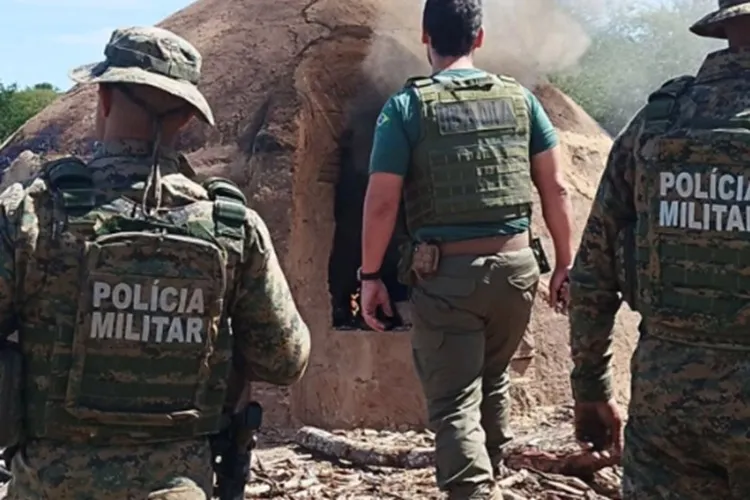 Cippa destrói 14 fornos de produção ilegal de carvão em Riacho de Santana