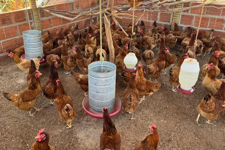 CAR amplia oportunidades no meio rural de Tanque Novo e Palmas de Monte Alto