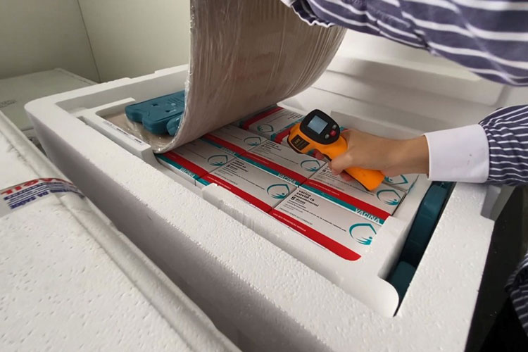 Novo lote com mais de 336 mil doses da vacina contra a Covid-19 chega à Bahia