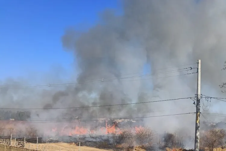 Homem é multado em R$ 1,2 mil após ser flagrado ateando fogo em lote em Guanambi