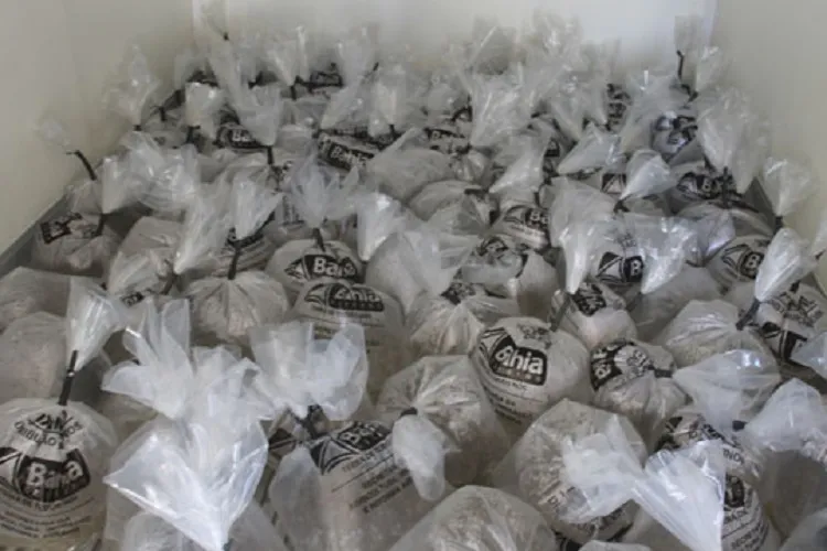 Brumado: Guilherme Bonfim conquista 30 mil alevinos para impulsionar atividades pesqueiras