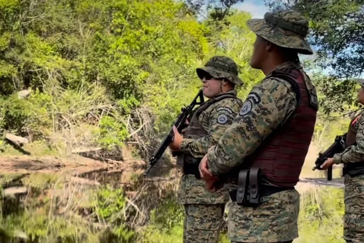 Piatã: Flagrante de incêndio ilegal próximo a Santuário Ecológico da Chapada Diamantina