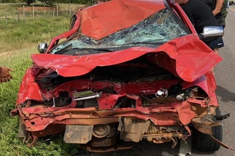 BA-148: Veículo bate em animal solto na pista na comunidade de Fazendinha em Dom Basílio