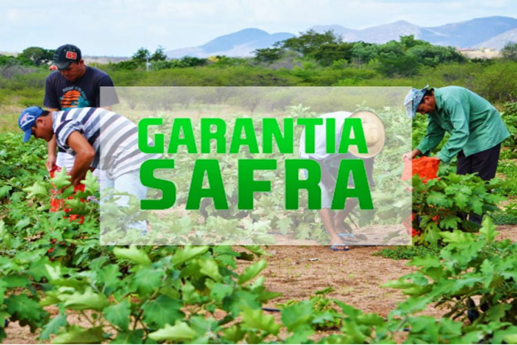Brumado: Setaf esclarece comunicado equivocado da prefeitura com relação ao Garantia Safra