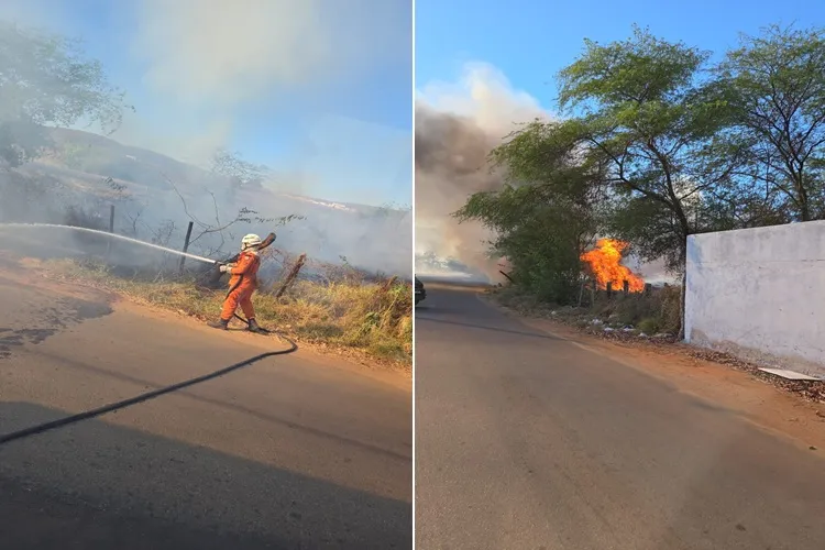 VÍDEO: Incêndio provocado por queimada atinge 30 hectares e mata animais silvestres em Brumado
