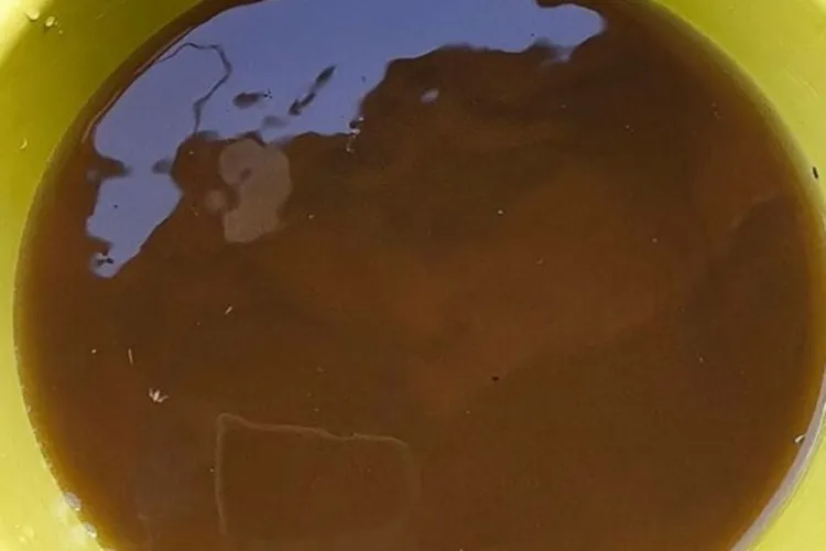 Dom Basílio: Moradora denuncia problemas na qualidade da água do SAAE