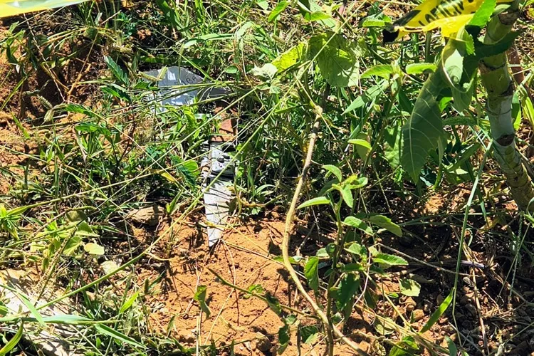 Idoso de 60 anos é encontrado morto com marcas de facadas em Brumado