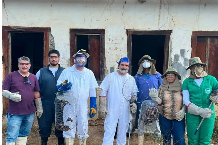 Adab promove treinamento para captura e controle de morcego hematófago em Jacaraci e Condeúba