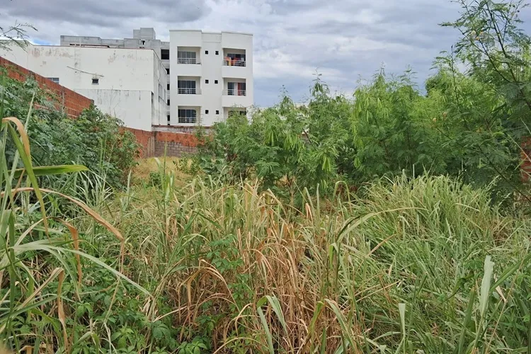 Município notifica donos de lotes abandonados em Guanambi